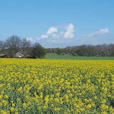 Gastezimmer Zum Neuenhof Kolín nad Rýnem